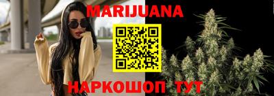 стаф Малгобек