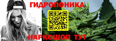 стаф Малгобек
