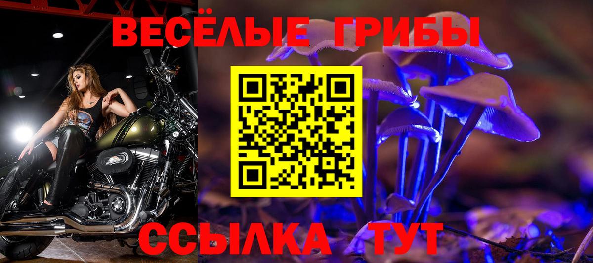Псилоцибиновые грибы GOLDEN TEACHER Вышний Волочёк