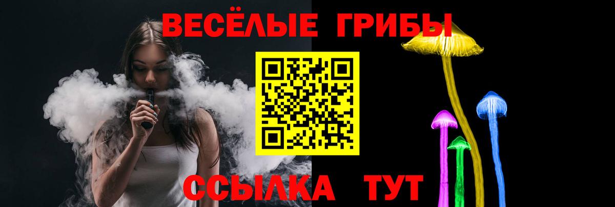 Галлюциногенные грибы Cubensis  Вход с VPN  Вышний Волочёк 